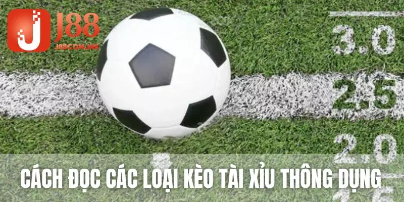 Có đa dạng loại kèo tài xỉu để bạn tùy ý lựa chọn