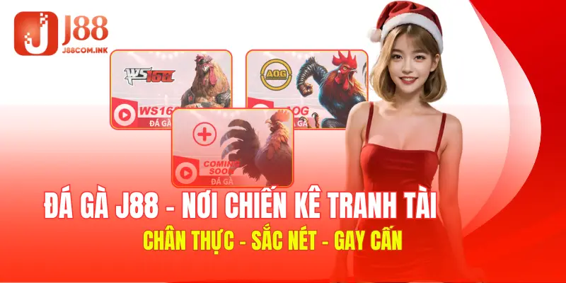 Sảnh game đá gà kịch tính